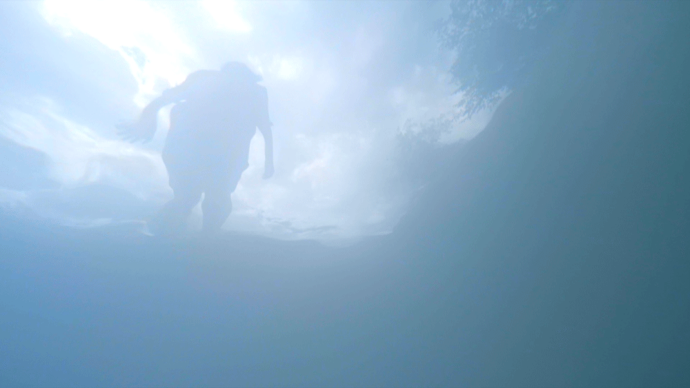 Silhouette of a person underwater with light filtering from the surface and trees visible above.