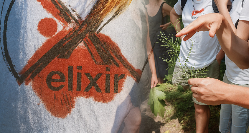 Person holding fresh green herb sprigs while others stand nearby in an outdoor garden setting.