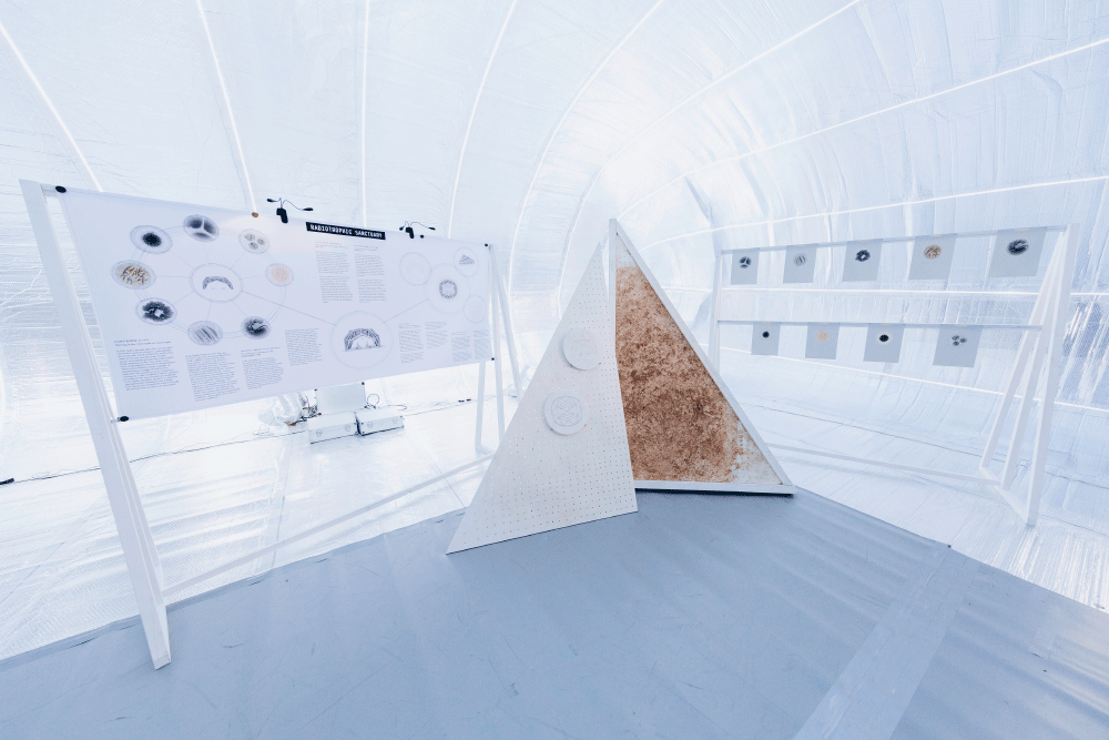 Bright exhibition space featuring a large informational board titled 'Radiotrophic Sanctuary,' a triangular display with circular panels, and a rack displaying multiple small circular samples.