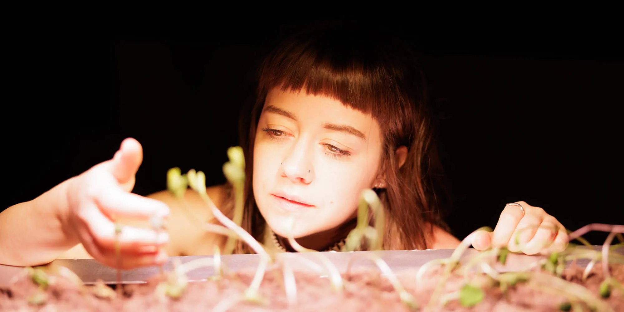 Young woman closely examining small seedlings growing in soil under warm light.